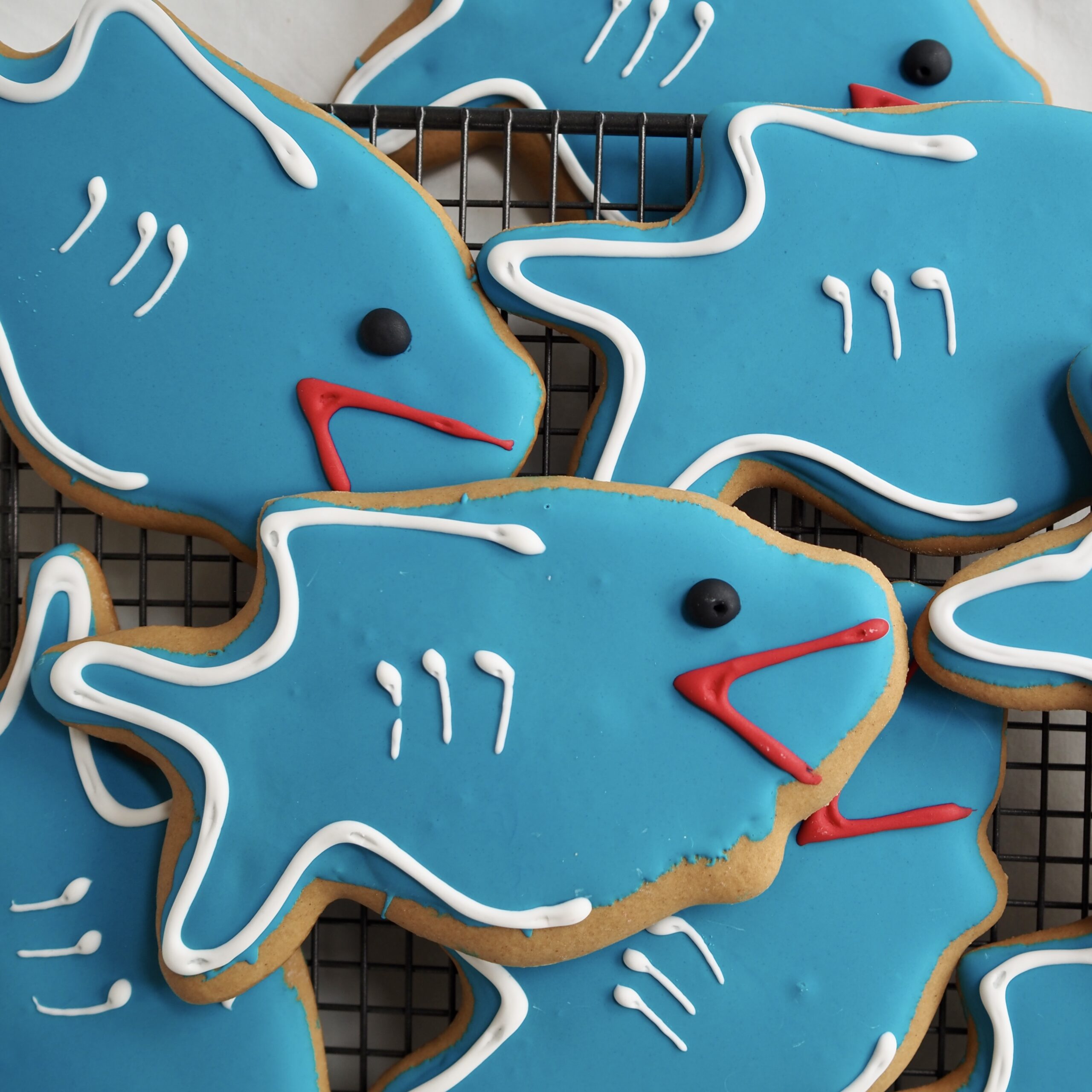 Iced Shark